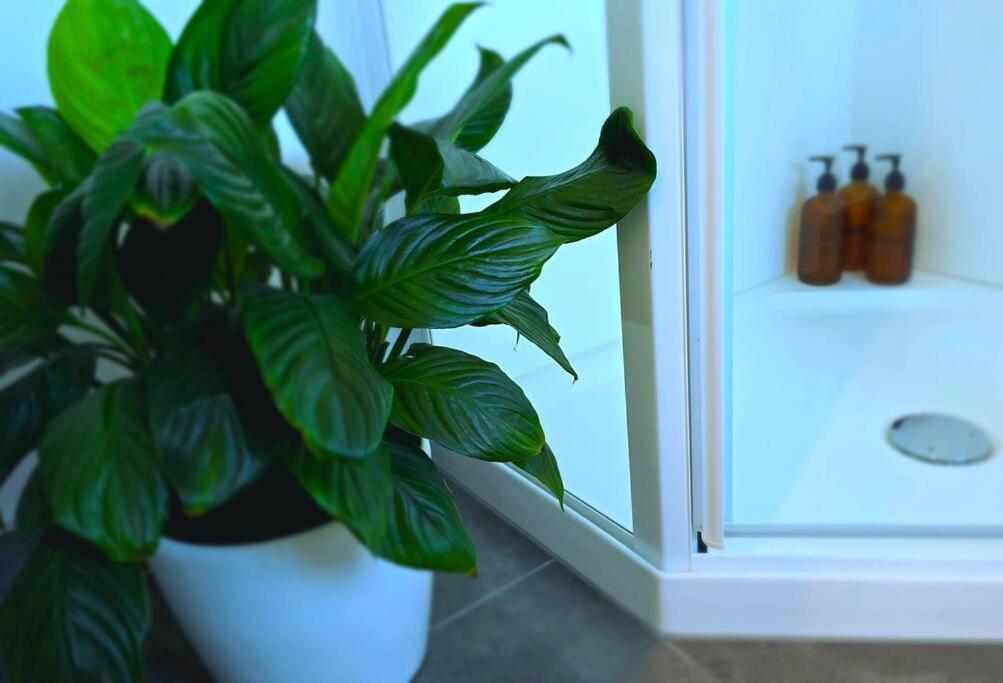 Apartment 2 - Haddin Court - Stunning Executive بلينهايم المظهر الخارجي الصورة